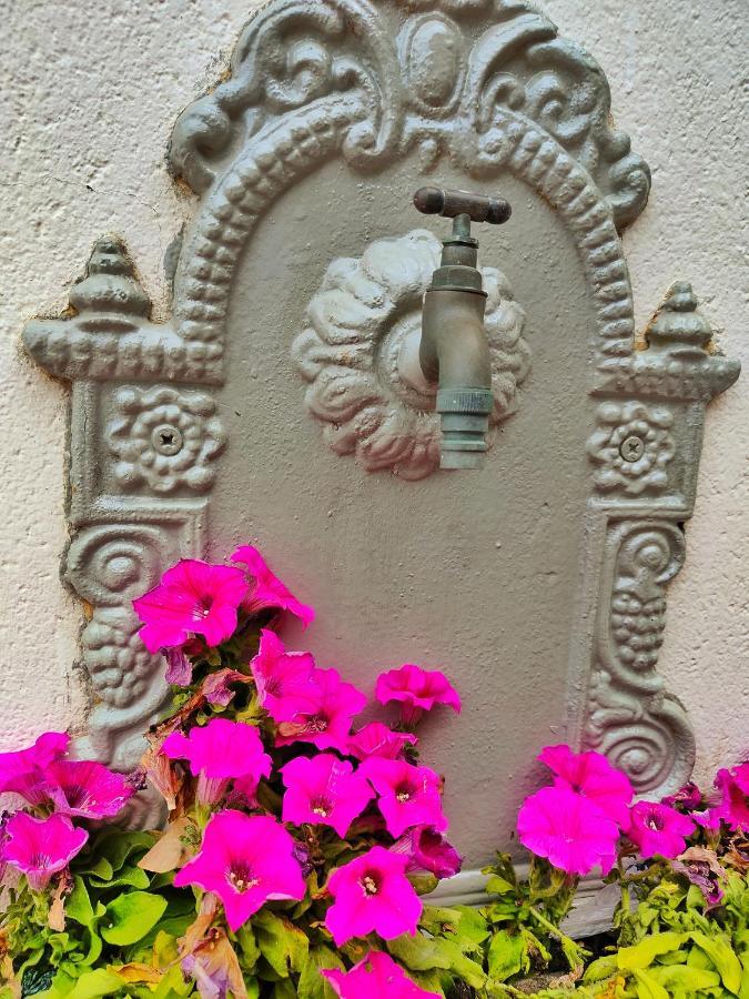 Guest house Blue *