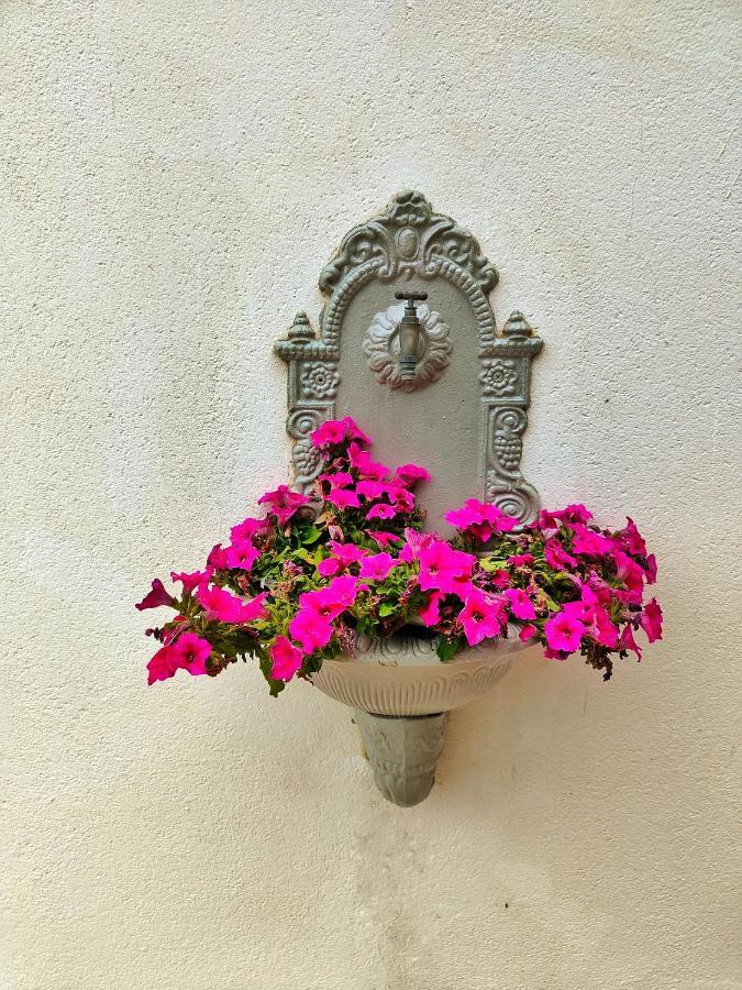 Guest house Blue